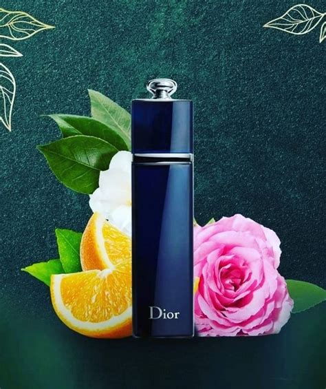 dior addict edp review|dior addict edp 100 ml.